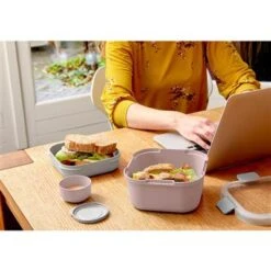 Sunware Sigma Home Lunchbox Roze -Philips Verkoop 101 1689 4 1