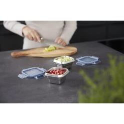 Tefal Masterseal RVS Vershouddoos Vierkant 0.2 L -Philips Verkoop 104 0810 6 1