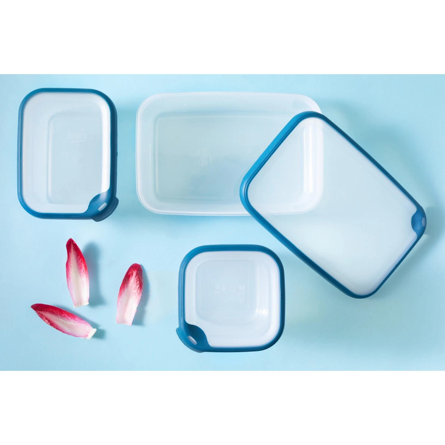 Curver Grand Chef Vershoudbak 2,6L Rechthoek 5 Curver Grand Chef Vershoudbak 2,6L Rechthoek - Afbeelding 3