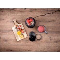 Alpina Smoothie Maker 220-240V -Philips Verkoop 209 7448 6 1