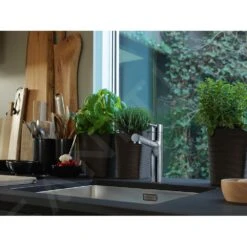 Franke Centro - Keukenkraan FP 0098.031 Met Uittrekbare Sproeikop, Chroom 115.0600.098 -Philips Verkoop 6aa6c7ebef0754a113caefe0